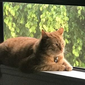 Meet your Posher, Monique